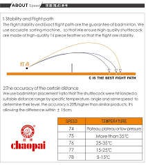 Image result for Flight Path Badminton Club