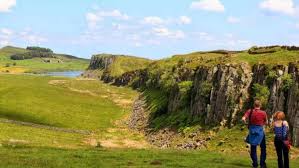 Image result for Tynedale Harriers Athletics Club