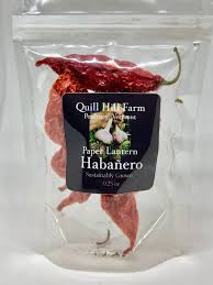 Afbeeldingsresultaat voor paper lantern hot pepper