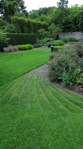 Image result for Mien Ruys