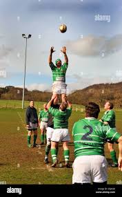 Image result for Wharfedale Rugby Union Football Club