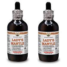 Attēlu rezultāti vaicājumam “Alchemilla vulgaris aggr. bud”