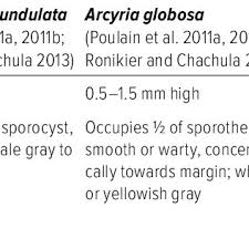 Attēlu rezultāti vaicājumam “Arcyria helvetica stalked”