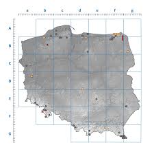 Attēlu rezultāti vaicājumam “Parmelia submontana”