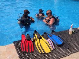 Image result for Divemaster Scuba