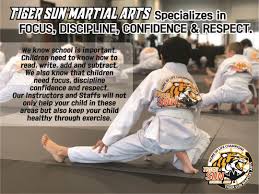 Image result for Championship Martial Arts Frisco
