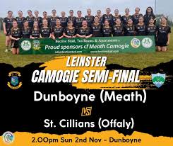 Image result for St Peter`s Gaa