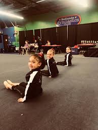 Image result for Acrobrats