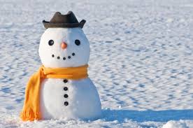 Image result for Schneemann