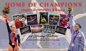 Image result for Focus Institute of Gymnastics