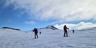 Image result for Tyneside Loipers