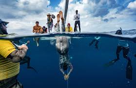 Image result for Blue Water Freediving School