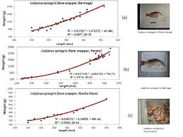 Image result for Lutjanus alexandrei