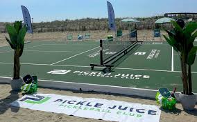 Image result for Pickley Green Panthers Junior Badminton Club