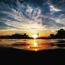 Image result for Apneists UK