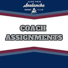 Image result for Ash Avalanche Skater Hockey Club