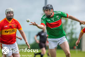 Image result for Moycarkey-Borris Gaa Club