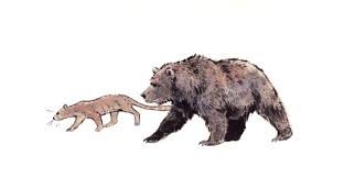 Attēlu rezultāti vaicājumam “Carnivora”