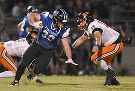 Image result for Hamilton Panthers Association Football Club