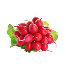 Image result for Radieschen