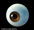 The Eye