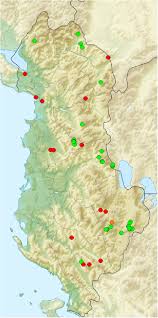 Attēlu rezultāti vaicājumam “Euphydryas maturna pupa”