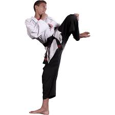Image result for COMBAT TAEKWONDO