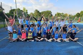 Image result for Whitton Netball Club