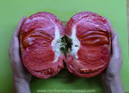 Afbeeldingsresultaat voor butter and bull heart tomato