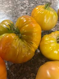 Afbeeldingsresultaat voor blushing yellow tomato