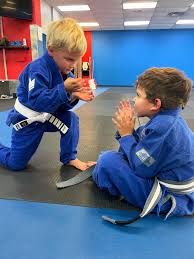 Image result for Pyramid martial arts