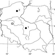 Attēlu rezultāti vaicājumam “Symphytocarpus trechisporus macro”