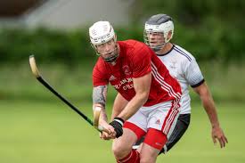 Image result for Lochcarron Camanachd