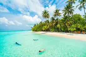 Image result for goa beaches