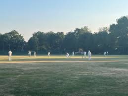 Image result for Shepherds Bush Cricket Club