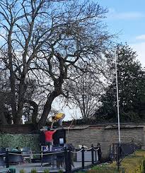 Image result for Wanstead Bowling Club