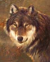 Wolves of dawn (Needs members!) - Page 2 Images?q=tbn:ANd9GcQn2b0hmT-lLpPUHtXmHmC3BpqRNNI_FxEZmW56mN7SBU_aYswZyw