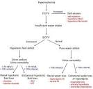 Doctors Gates: Algorithm for determining the cause of the ...
