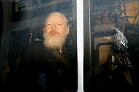 Image result for julian assange
