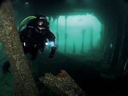 Image result for Plymouth Aquanauts