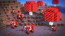 http://t0.gstatic.com/images?q=tbn:ANd9GcQn3Jv2uNVvx-f5_VSixNoOjNFAW5D81t6iM2VV1oxTheJ1DKPTbqJTYok
