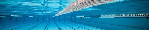 Image result for Grimsby Penguins Swimming Club