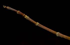 Attēlu rezultāti vaicājumam “Acer negundo bud”