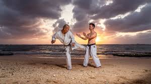 Image result for Uechi-Ryu Karate Do, Hedge End