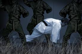 Image result for Katakuri Karate