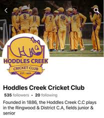 Image result for Hodnet & Peplow Cricket Club