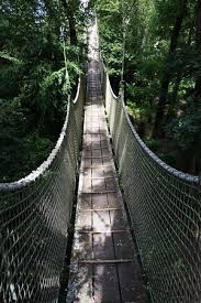 Image result for PONT DE SINGE