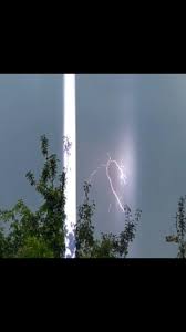 Image result for Leicester Lightning