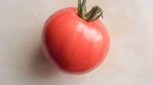 Afbeeldingsresultaat voor earliana tomato