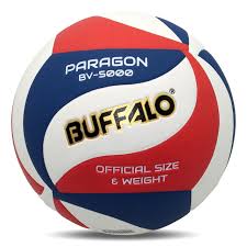 Image result for Paragons Netball Club